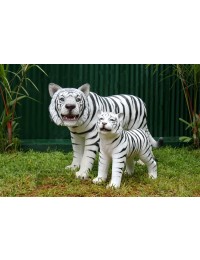 Weißer Tiger mit Baby