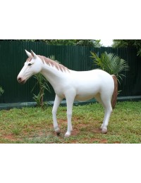 Weißes Pony