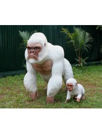 Weißer Gorilla mit Baby 1