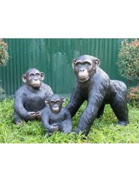 Affen Familie