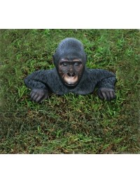 Gorilla aus Boden kletternd