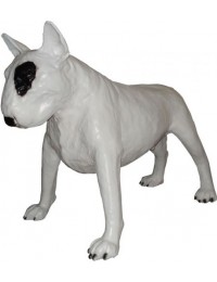 Bullterrier Kampfhund