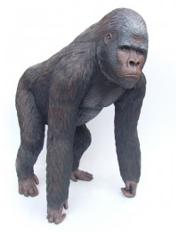 Affe Gorilla