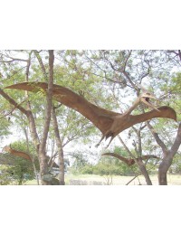 Pterosaurier