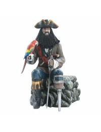 Pirat Blackbeard mit Papagei