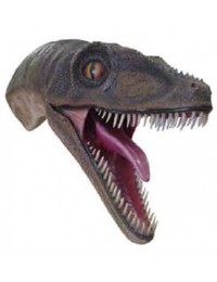 Velociraptor Kopf für die Wandmontage