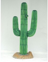 Kaktus groß