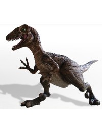 Utah-Raptor