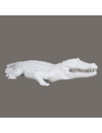 weißes Krokodil