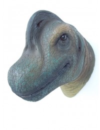 Saurier Brachiosaurierkopf