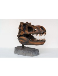 T-Rex Kopf als Skelett