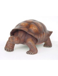 Schildkröte braun