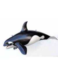 Orca klein