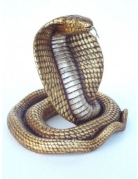 Goldene Cobra