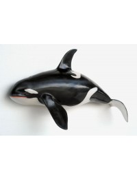 Orca Wanddeko klein