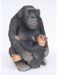 Affe Schimpanse mit Jungen