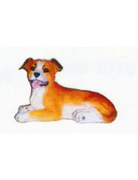 American Stafford Terrier Welpen liegend