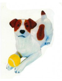 Jack Russell Terrier liegend mit Tennisball
