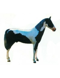schwarz weiß geflecktes Pferd groß