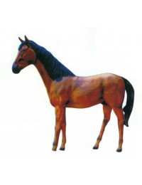 braunes Pferd mit schwarzer Mähne
