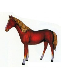 braunes Pferd mit blonder Mähne