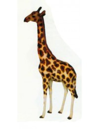 Giraffe mittel