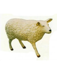 großes weißes Schaf