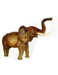 großer stehender Elefant Rüssel oben