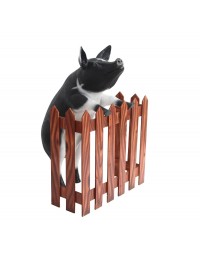 Schwarzweißes Schwein stehend am Zaun 