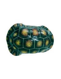 Dunkelgrüner Schildkrötenpanzer für Wand