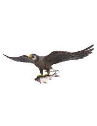 Goldener Adler fliegend mit Fisch