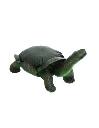 Schildkröte mit Sitzkissen