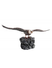 Weißköpfiger Adler auf Stein