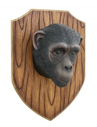 Affenkopf auf Holz
