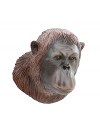 Orangutankopf
