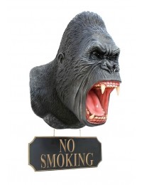 Gorillakopf mit *No Smoking*Schild