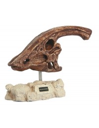 Dinosaurier Parasaulophus auf Stein