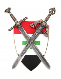 Schild Rot Weiß Schwarz mit grünem Kreuz und Schwertern davor