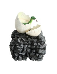 Anakonda schlüpft aus Ei auf Stein
