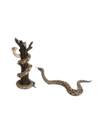 Python auf Baum und Schlange