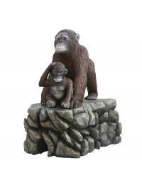 Orangutan mit Baby