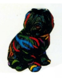 schwarzer Hund mit bunten Streifen sitzend