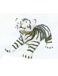 kleiner weißer Tiger spielend Variante 2
