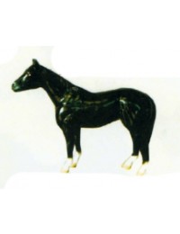 kleines schwarzes Pferd Kopf oben