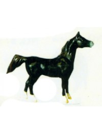 schwarzes kleines Pferd Kopf oben