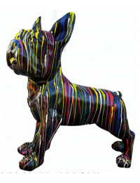 Hund französische Bulldogge schwarz mit Farbverlauf