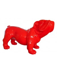 Rote Bulldogge XXL
