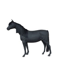 Schwarzes Pferd mit Echthaarmähne