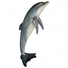 springender Delfin groß