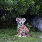Tigerbaby sitzend